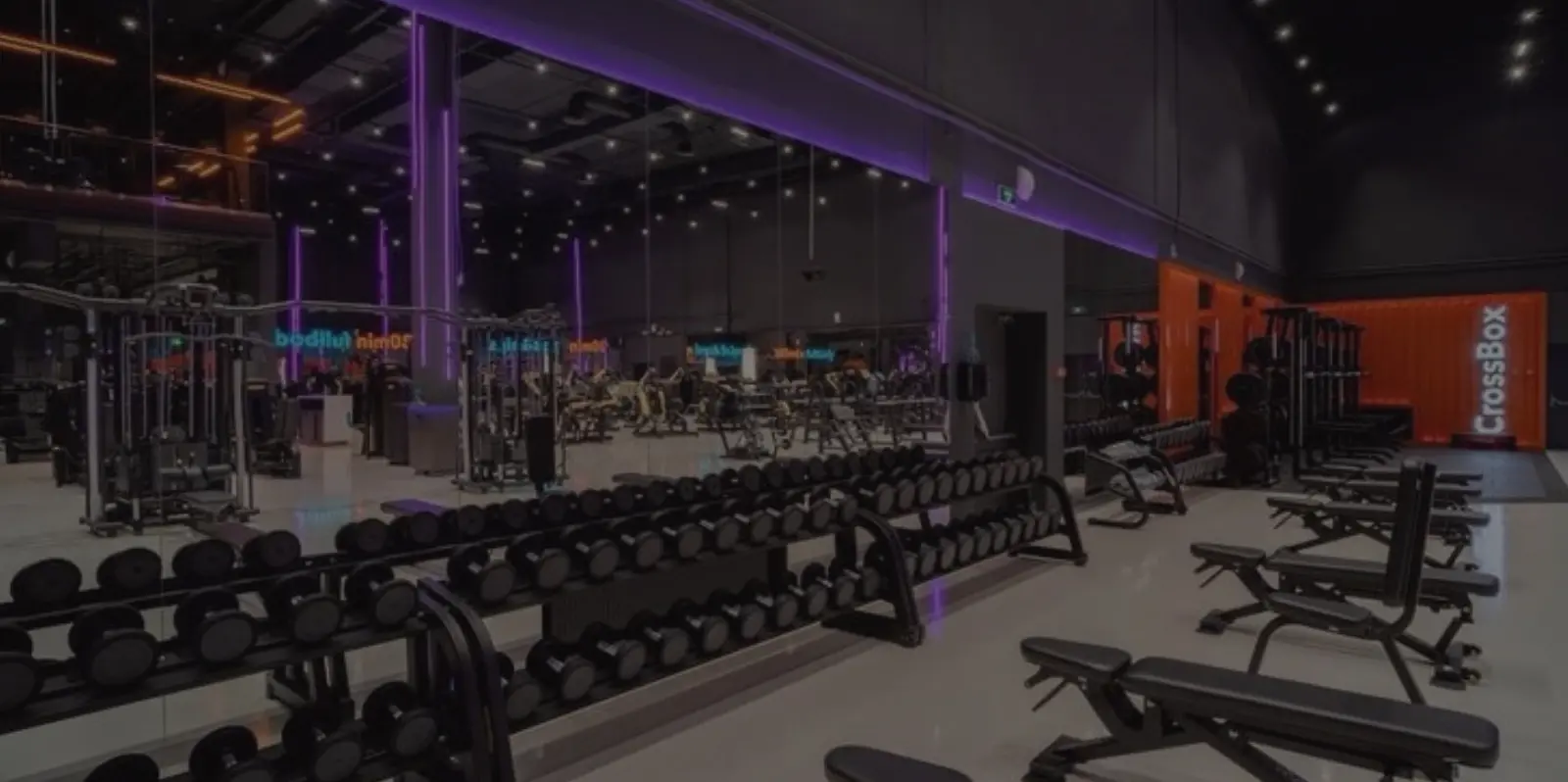 Gym & Spas